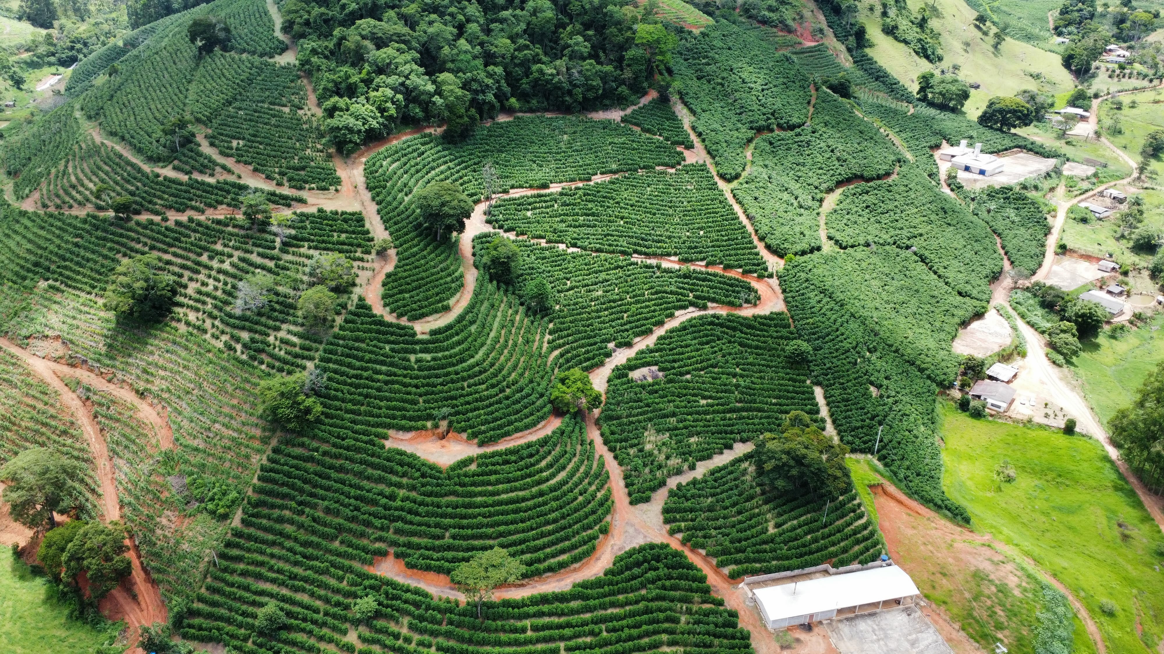 ibatiba-fotos.|||Fotógrafo:Cristiano de Oliveira Catheringer - Incaper