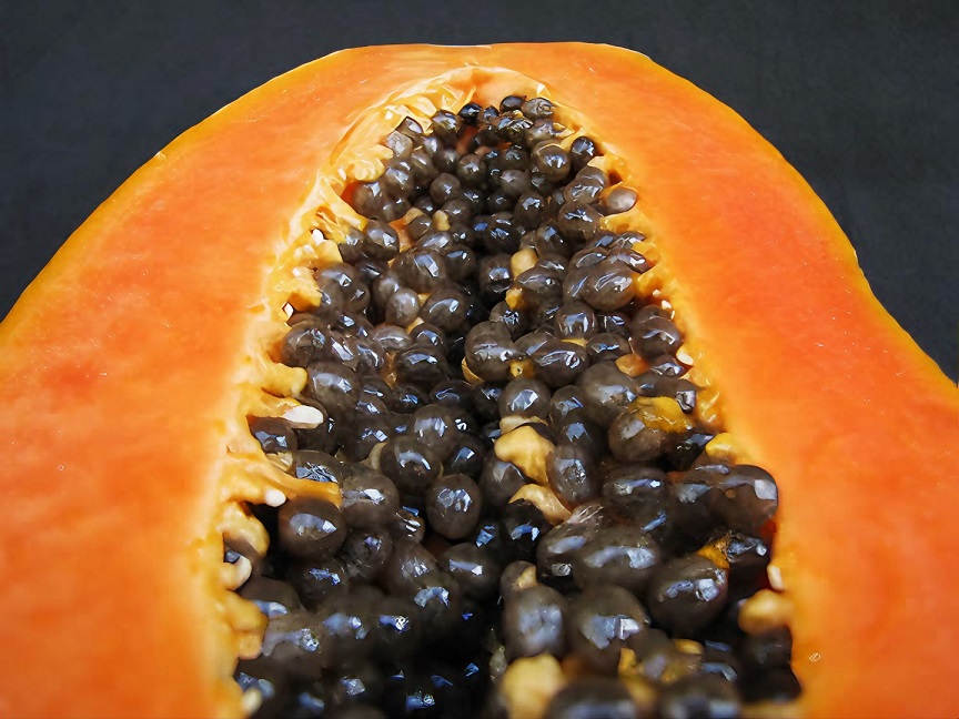 papaya-1